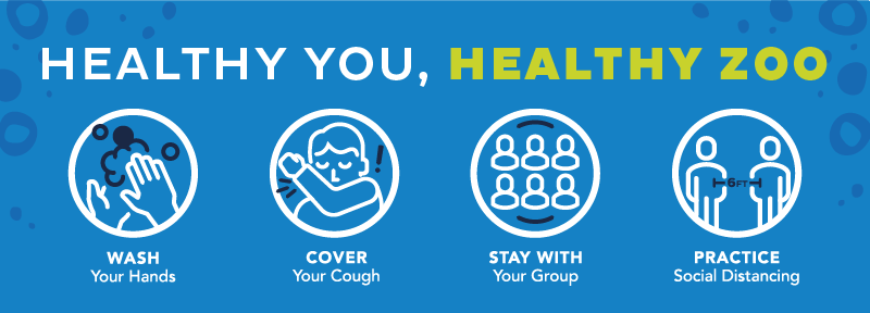 HealthyYOU-icons.png
